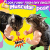 Sfrcord® Funny Muscle Arms Pet Neckband Costume